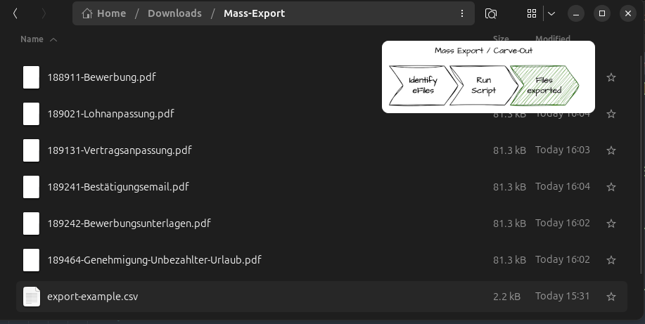 Massen Export Carveout - Exportierte Dokumente