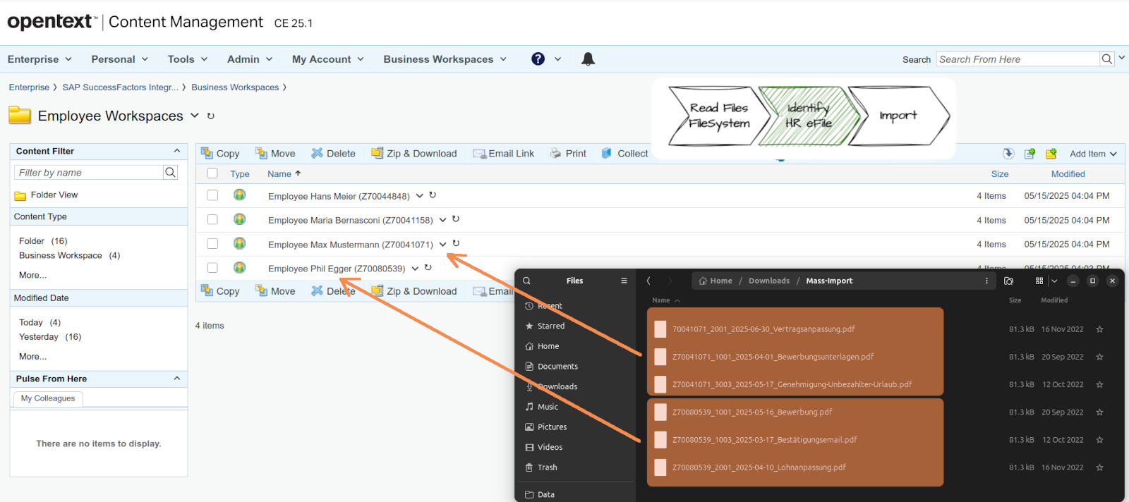 Mass Import Dossier View